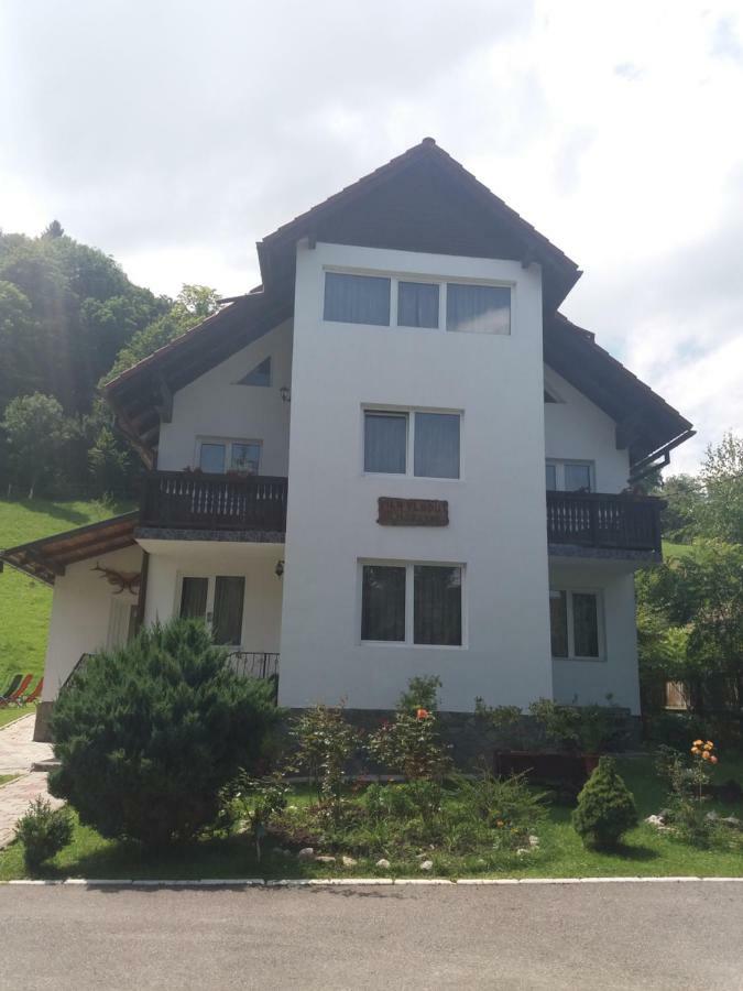 Pensiunea Vladut Bran  Exterior foto