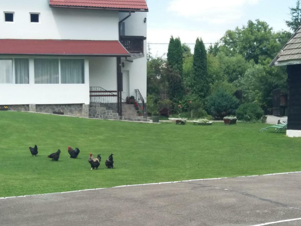 Pensiunea Vladut Bran  Exterior foto