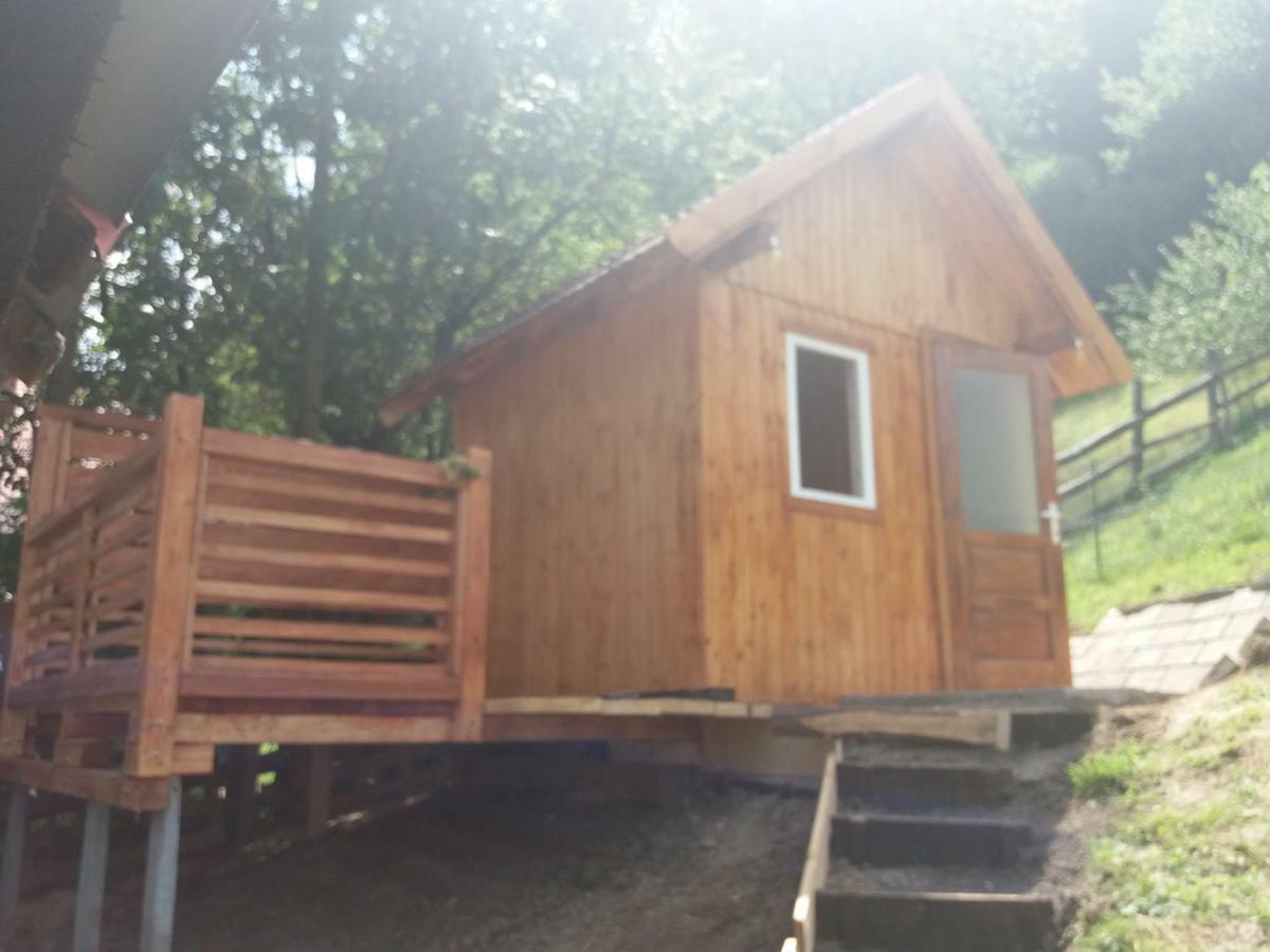 Pensiunea Vladut Bran  Exterior foto